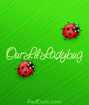 Our_lil_ladybug.gif