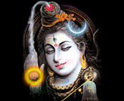 Shiv.gif