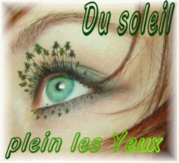 Soleil_plein_les_yeux.gif