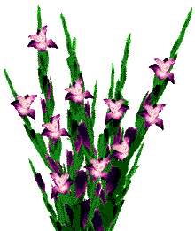 animatedgifsflowers210.gif