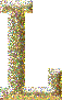 animatedletterimage0204.gif