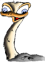 autruche_019.gif