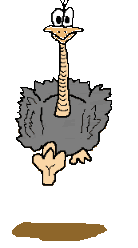 autruche_029.gif