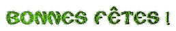 bonne_fetes_004.gif