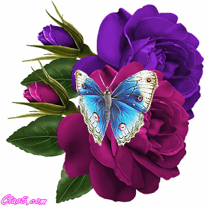butterflies521.gif