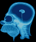 cerveau.gif