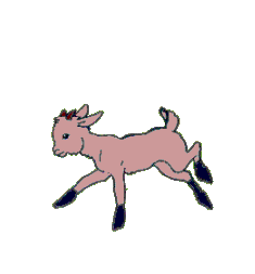 chevres_3.gif