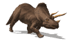 dinosaure017_FB.gif
