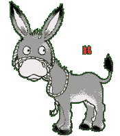 donkeytaspx.gif