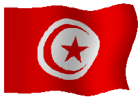 drapeauxtunisie17.gif