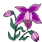 fleursfleursorchidees00003.gif