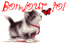 gifbonjour13gratuit.gif