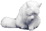 katten379.gif