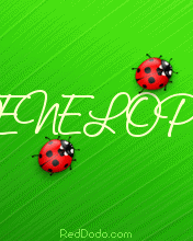 ladybug176x220.gif