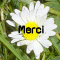 merci(1).gif