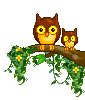 owl135.gif