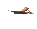pterodattilo.gif