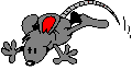 rat3.gif