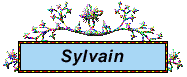 sylvain_5.gif