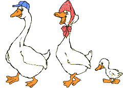volailles_14.gif