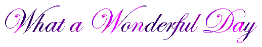 wonderful.gif
