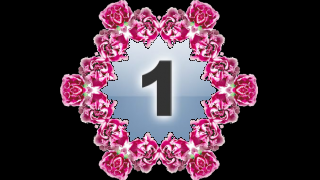 Roses.png