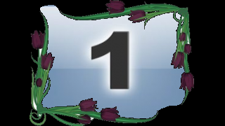 tulipe(2).png